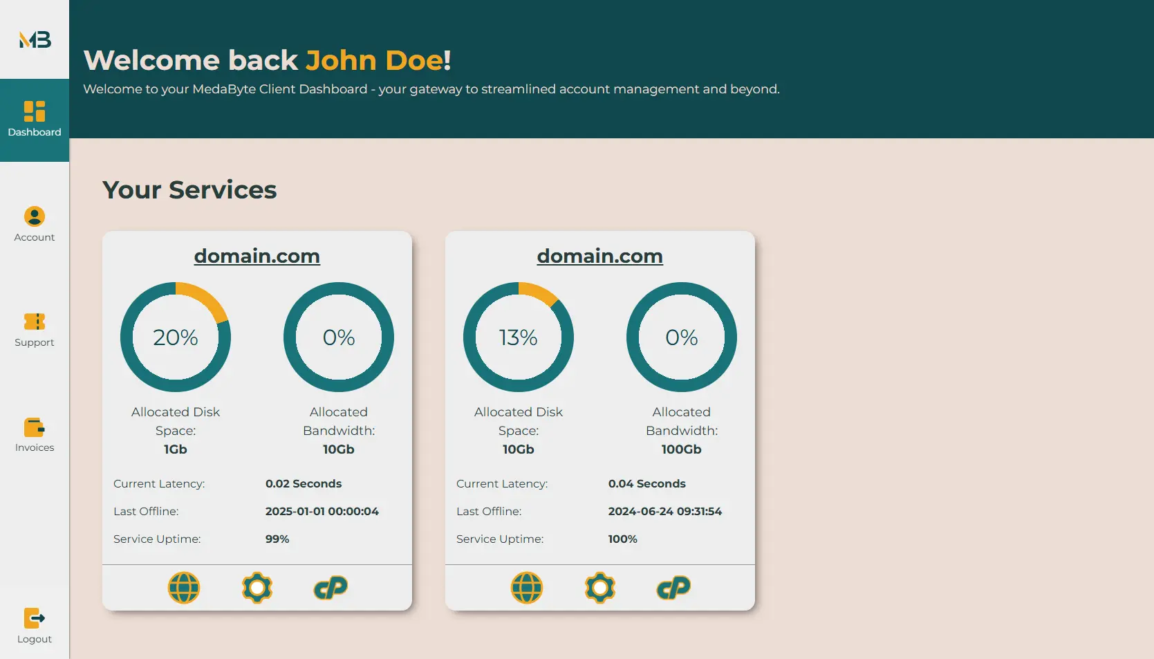 Hosting panel client dashboard website screenshot